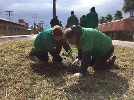 Plantando 2